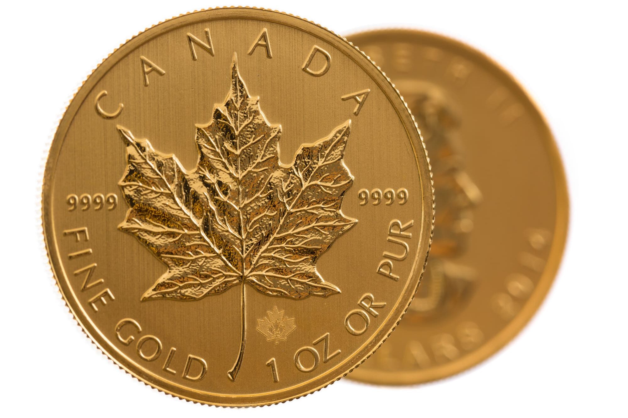 Image of a Maple Leaf with laser engraving